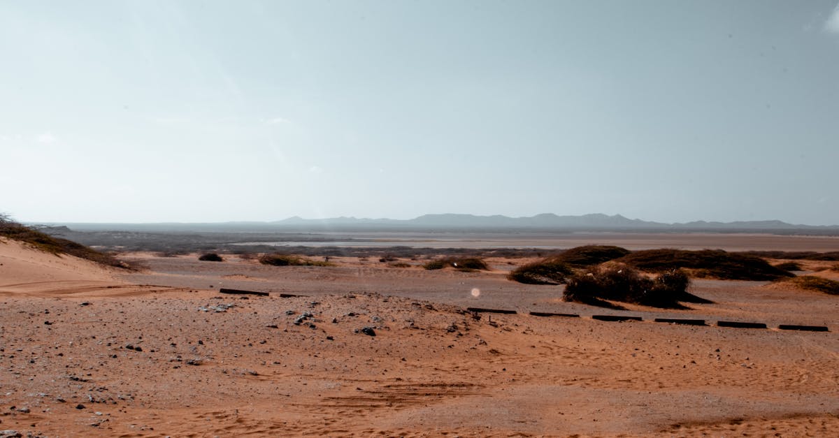 découvrez les causes, les conséquences et les solutions à la sécheresse. comprenez comment la sécheresse affecte l'environnement, l'agriculture et les communautés, et apprenez comment s'y préparer efficacement.