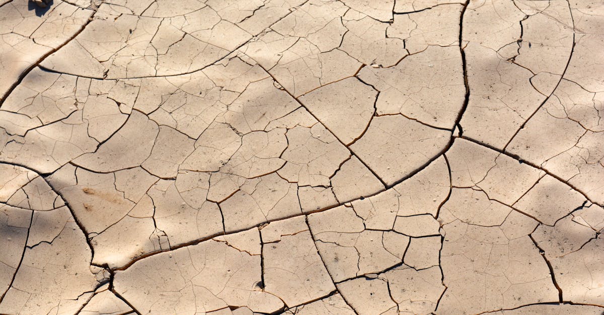 découvrez tout ce qu'il faut savoir sur la sécheresse : ses causes, ses conséquences sur l'environnement et les populations, ainsi que les solutions pour y faire face. informez-vous sur ce phénomène naturel préoccupant.