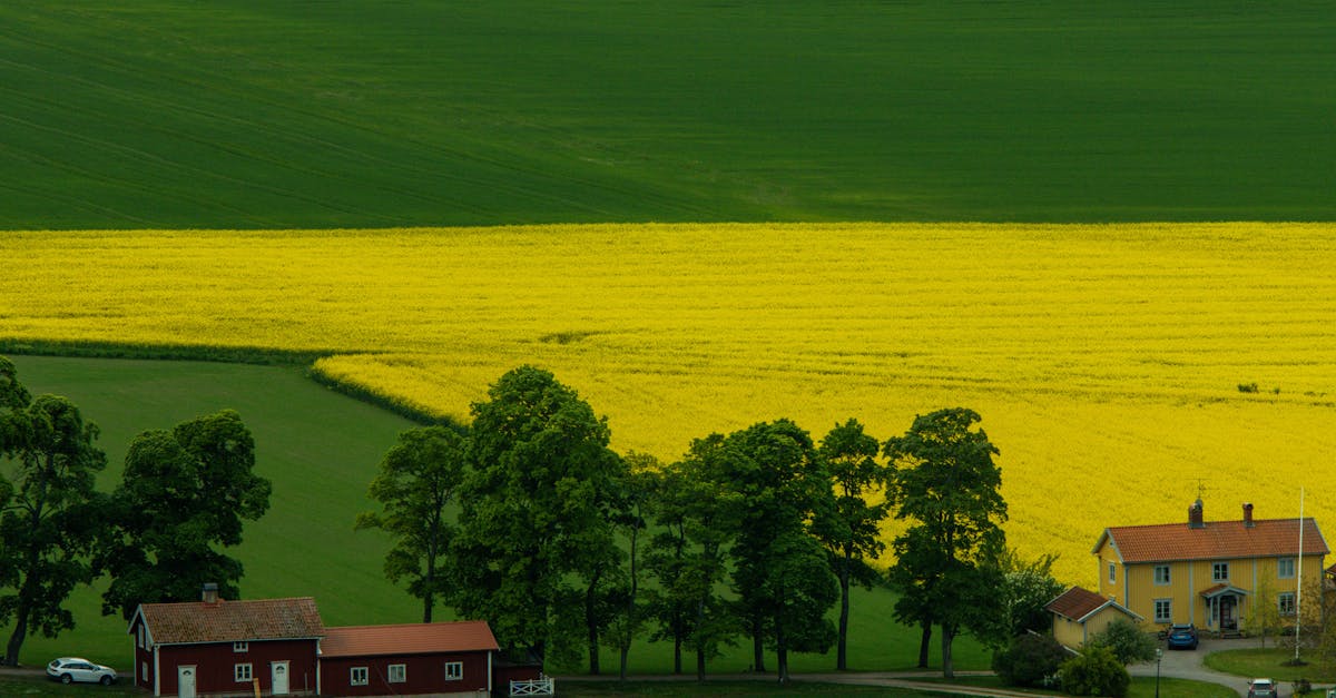 découvrez ecomondo 2025, le salon international clé pour les solutions durables et l'économie verte, réunissant innovations, experts et entreprises engagées dans la transition écologique.