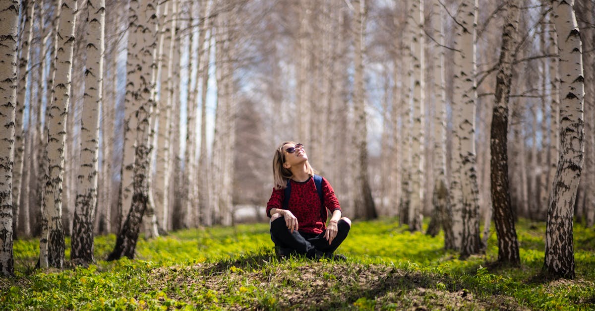découvrez l'importance de l'environnement, ses enjeux actuels et des conseils pratiques pour protéger la planète. informez-vous sur le développement durable, la biodiversité et les solutions pour un avenir plus vert.