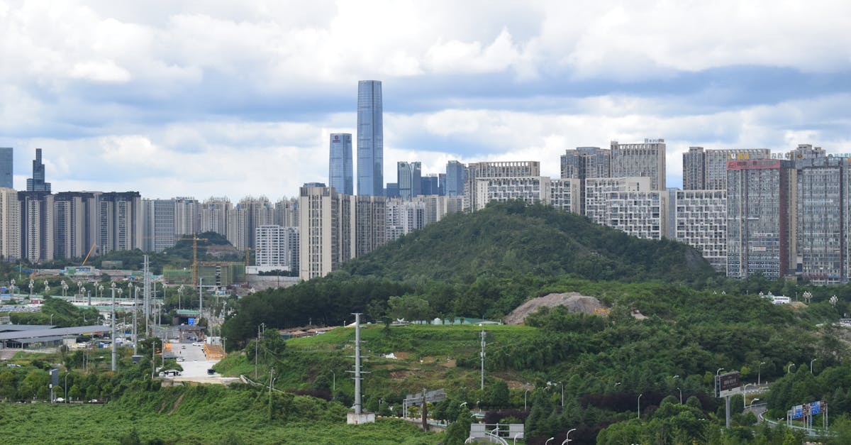 découvrez les enjeux et conséquences de la déréglementation environnementale, ses impacts sur la protection de la nature et les débats autour des politiques écologiques.