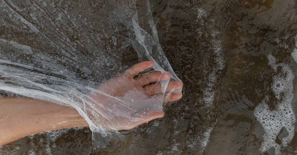 analyse de l'opposition de l'extrême droite aux enjeux climatiques, ses arguments et son impact sur les politiques environnementales.