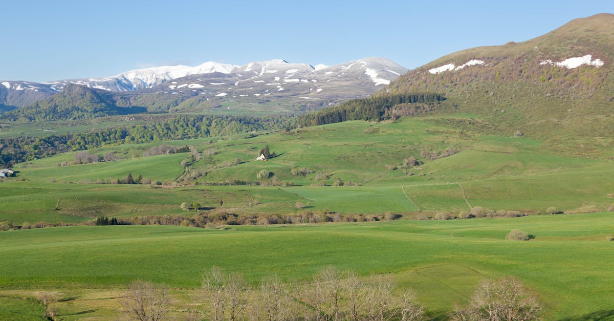 découvrez la beauté naturelle des forêts françaises, un trésor de biodiversité et de paysages enchanteurs à explorer toute l'année.