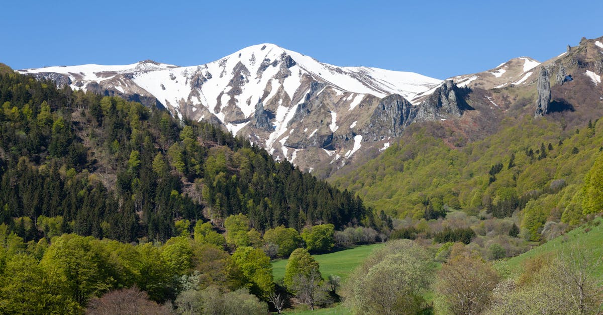 découvrez la beauté intemporelle des forêts françaises, lieux de nature préservée, de randonnée et de biodiversité exceptionnelle.