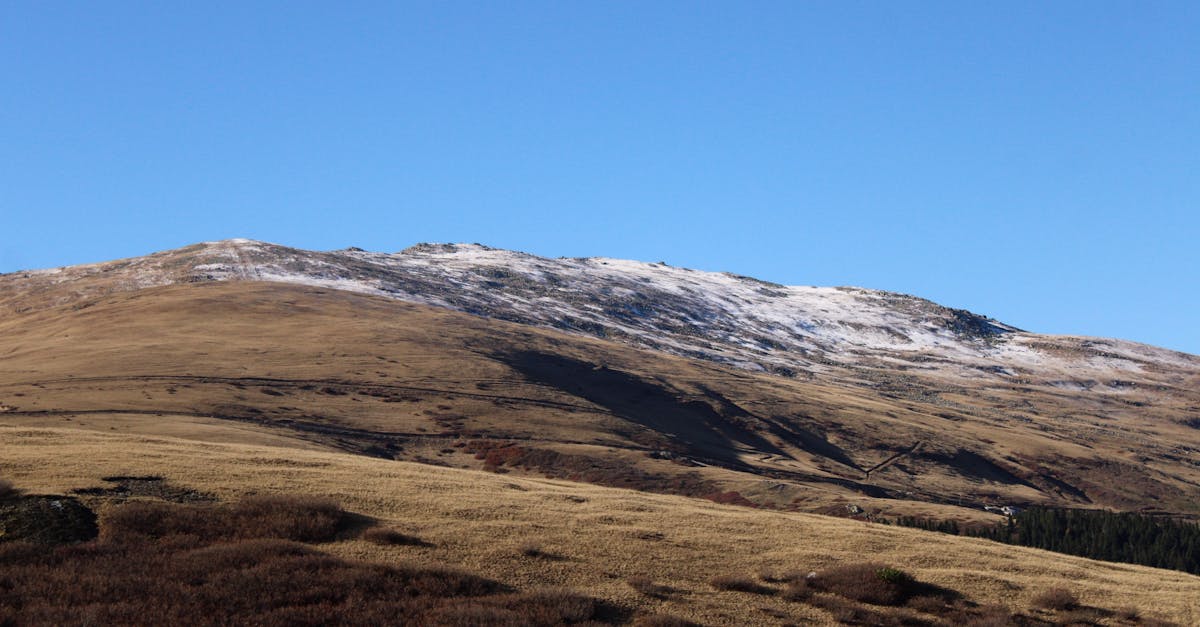 découvrez comment une politique climatique inclusive intègre les enjeux sociaux et environnementaux pour garantir une transition juste et équitable pour tous.