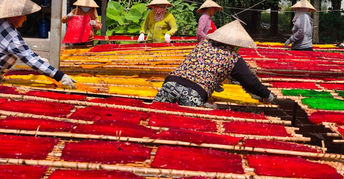 découvrez la richesse des savoirs autochtones : traditions, pratiques, et connaissances transmises de génération en génération, essentielles pour la préservation de la culture et l’harmonie avec la nature.
