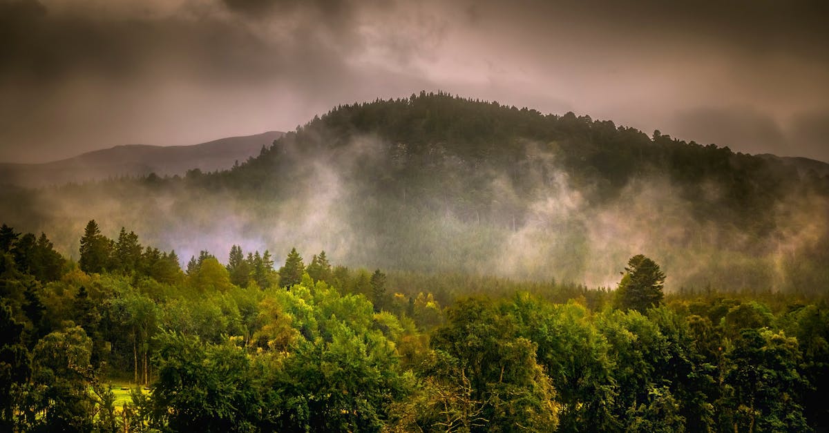 découvrez l'impact du changement climatique sur les zones de montagne, ses effets sur les écosystèmes, la biodiversité et les communautés locales.