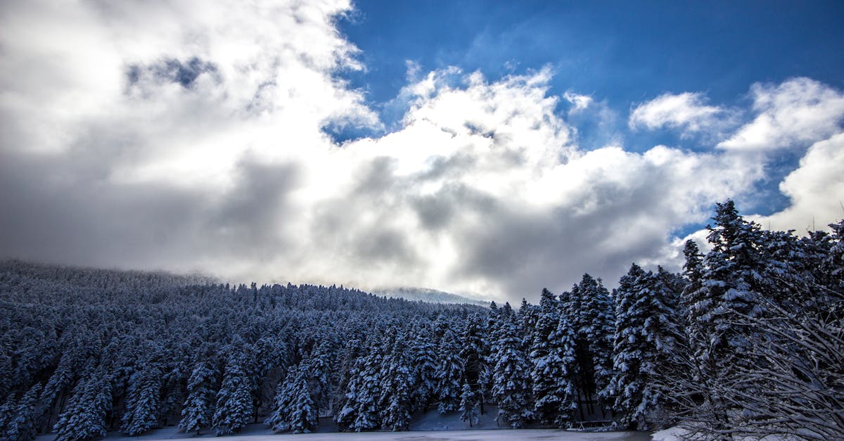 découvrez l'impact du changement climatique sur les régions montagneuses et les enjeux environnementaux associés.