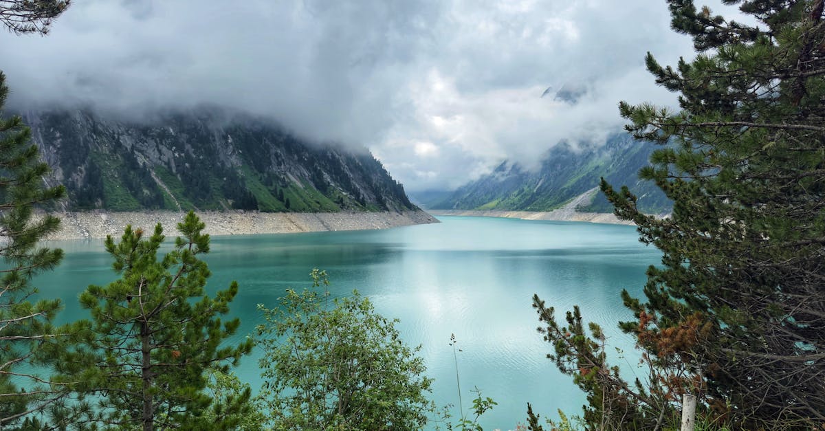 d&eacute;couvrez les ambitions climatiques visant &agrave; r&eacute;duire l'impact environnemental et &agrave; promouvoir un avenir durable gr&acirc;ce &agrave; des actions concr&egrave;tes et innovantes.