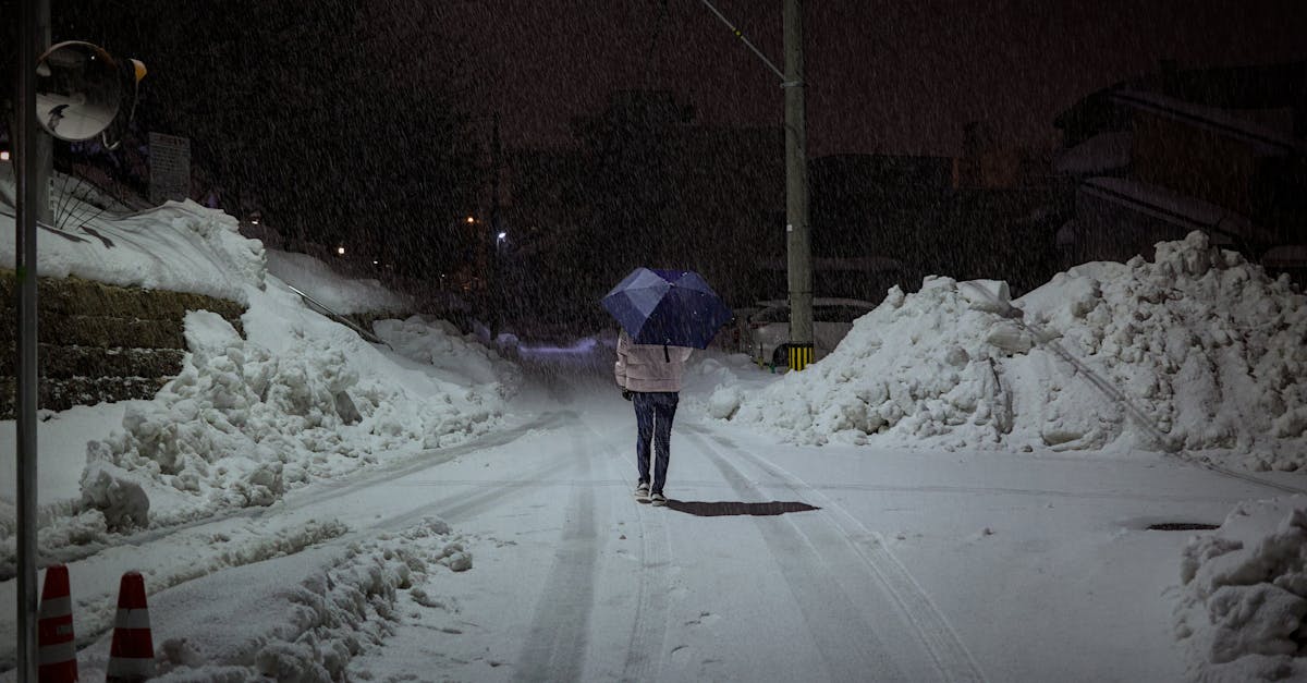 analyse de l'inaction du gouvernement japonais face au d&eacute;fi climatique et ses cons&eacute;quences sur l'environnement et la soci&eacute;t&eacute;.