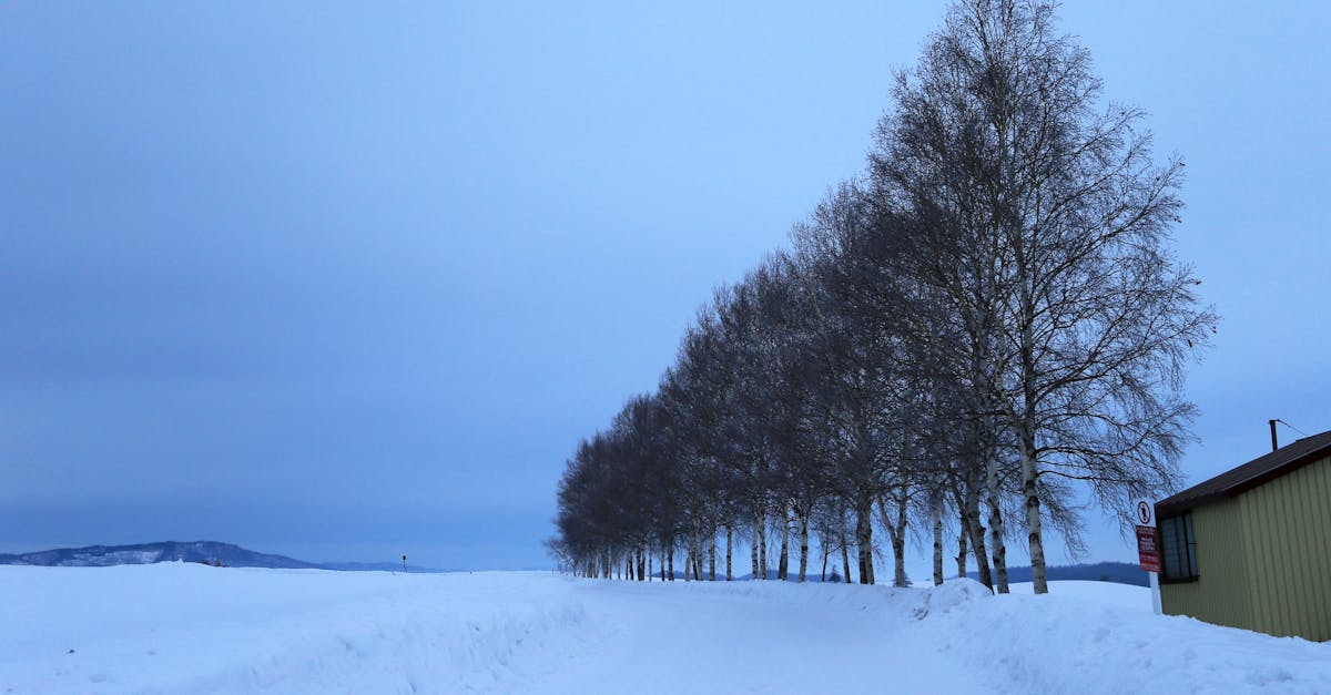 découvrez notre escape game sur le thème du climat : une aventure immersive pour sensibiliser aux enjeux environnementaux tout en s’amusant !