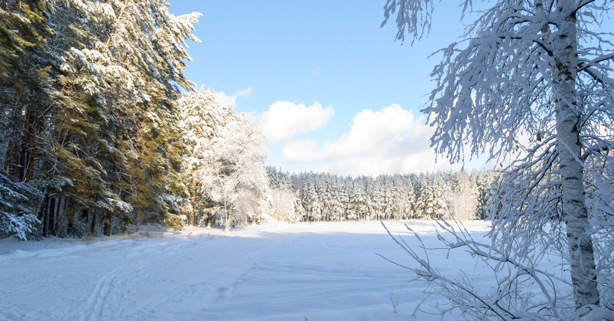 d&eacute;couvrez les enjeux et les &eacute;volutions de la contentieux climatique, un domaine cl&eacute; pour la protection de l'environnement et la lutte contre le changement climatique.