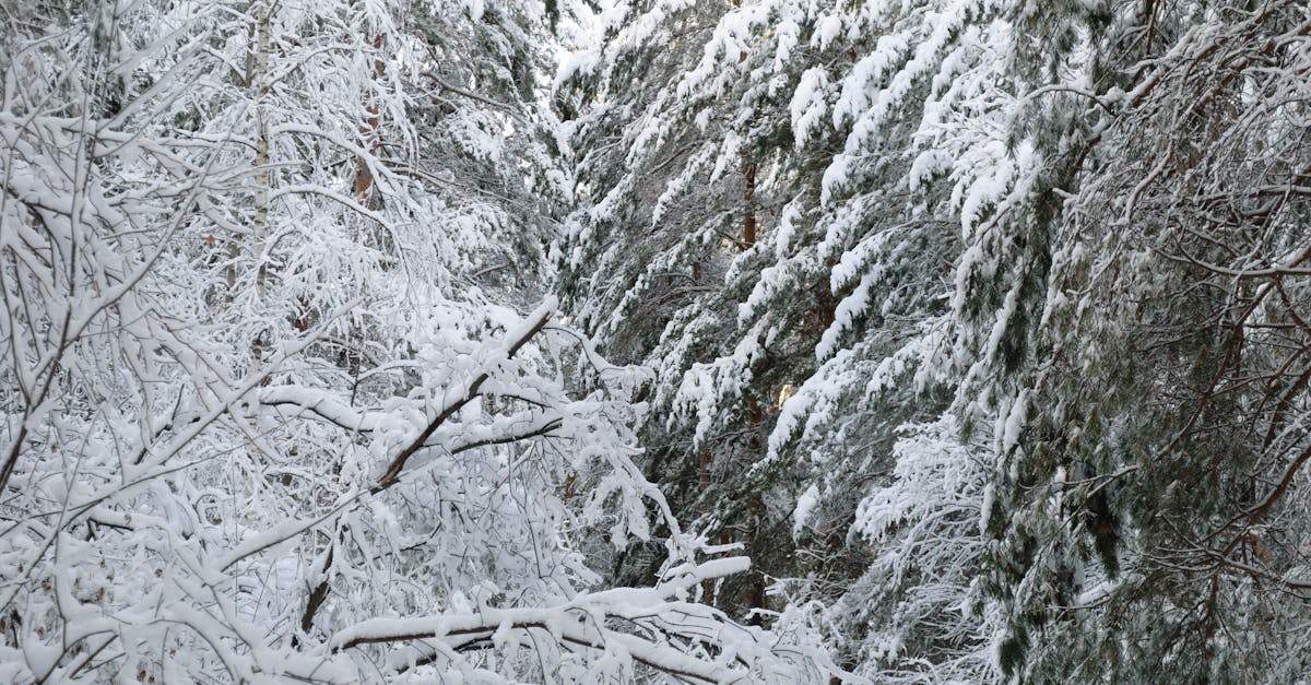 d&eacute;couvrez comment les ambitions climatiques fa&ccedil;onnent l'avenir durable de notre plan&egrave;te en promouvant des actions concr&egrave;tes pour r&eacute;duire l'empreinte carbone et prot&eacute;ger l'environnement.