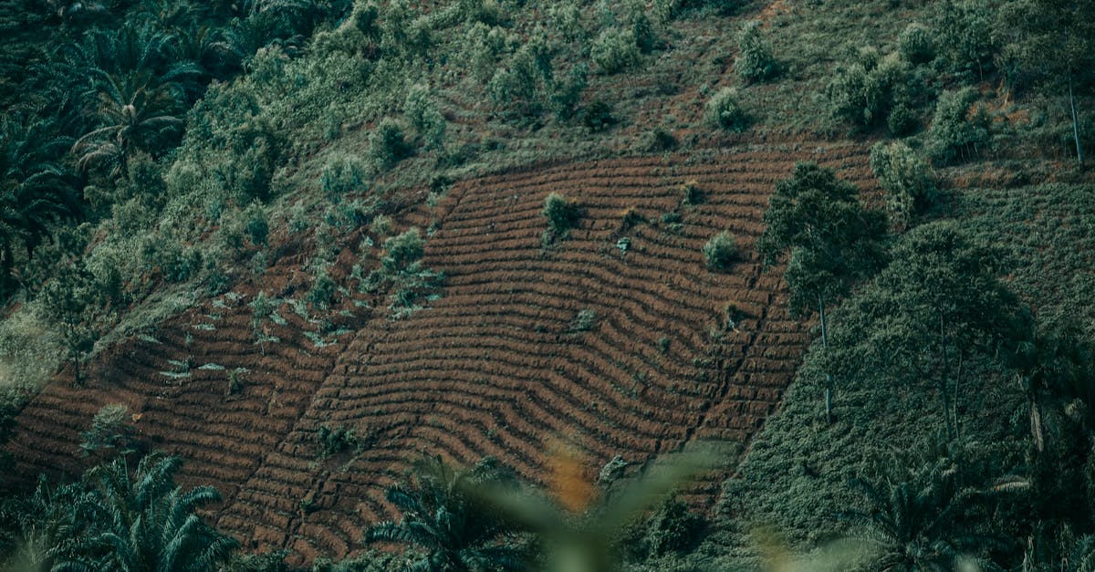 d&eacute;couvrez les ambitions climatiques visant &agrave; r&eacute;duire l'empreinte carbone et &agrave; promouvoir un avenir durable gr&acirc;ce &agrave; des actions concr&egrave;tes et des politiques innovantes.