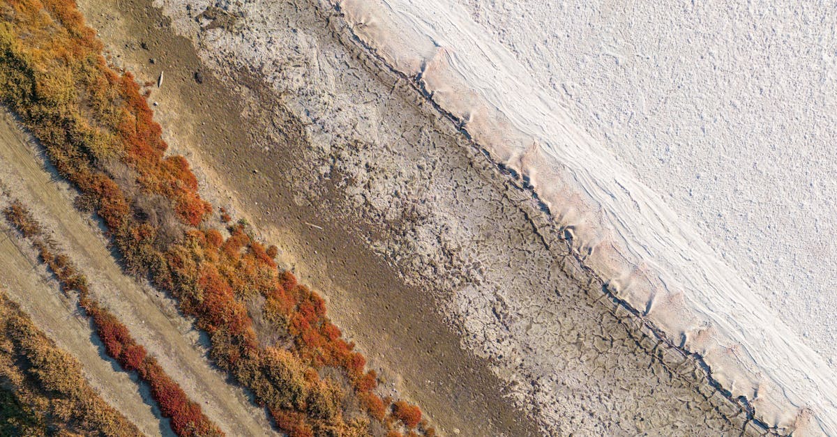 découvrez les incertitudes liées au changement climatique, leurs impacts potentiels et les défis pour la prévision et l'adaptation environnementale.