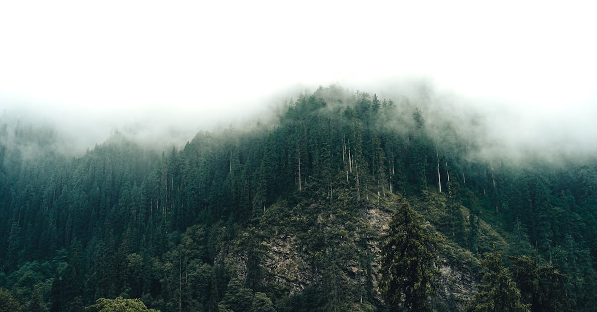 découvrez notre climate escape game, une aventure interactive pour sensibiliser au changement climatique tout en s'amusant. résolvez des énigmes et apprenez à protéger la planète !