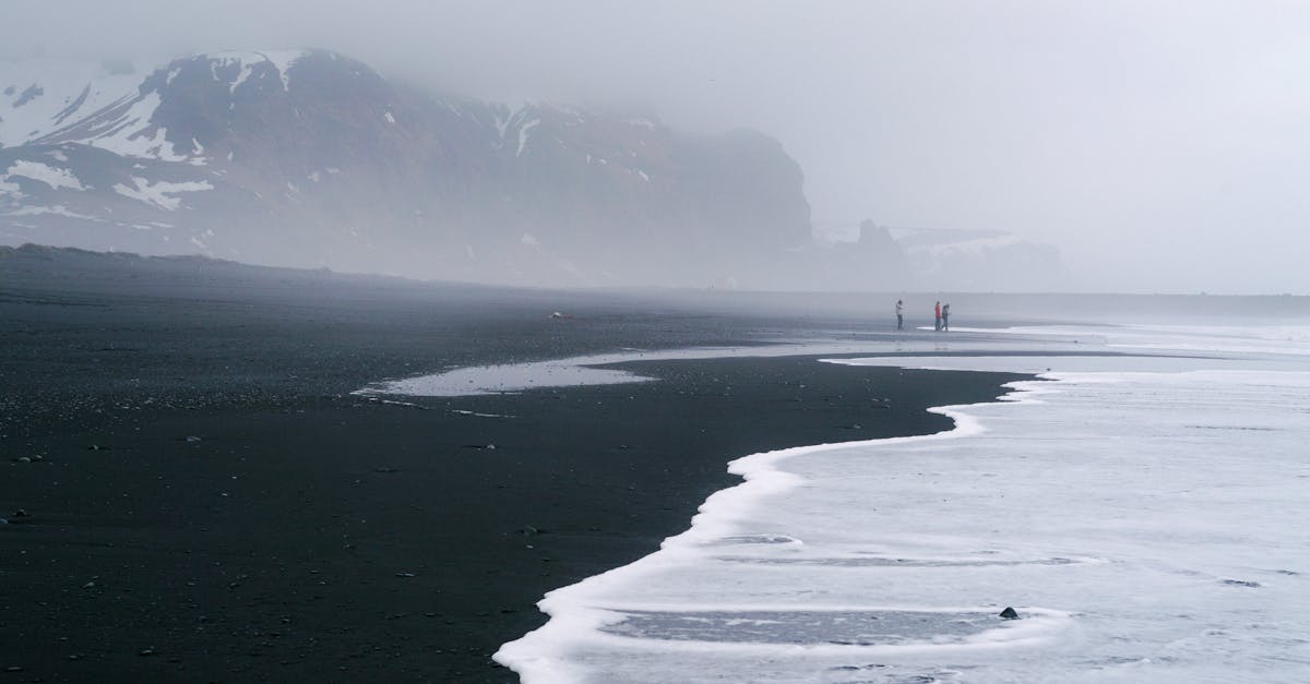 participez à notre climate escape game, une aventure immersive et ludique pour sensibiliser au changement climatique tout en s'amusant.