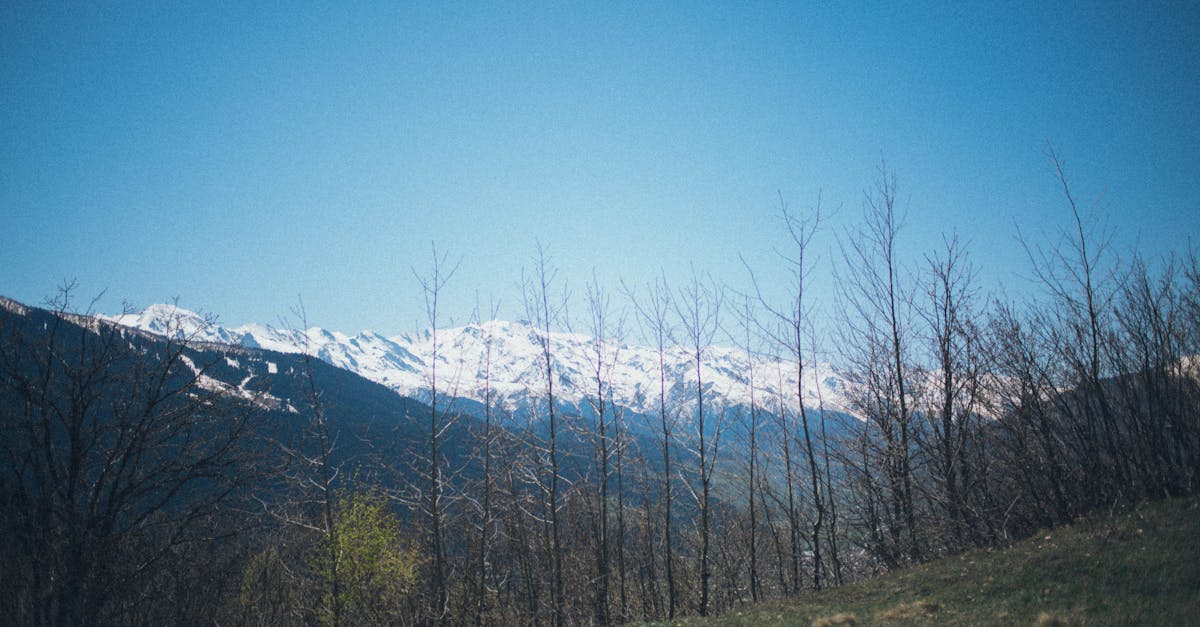 participez à notre climate escape game et découvrez l'impact du changement climatique tout en résolvant des énigmes captivantes. apprenez, agissez, et sauvez la planète de manière ludique et immersive !