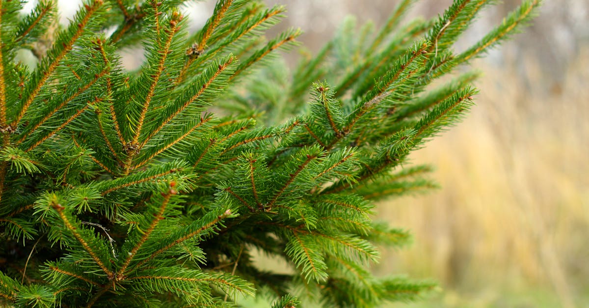 découvrez les climate heroes, des héros engagés pour la protection de notre planète et la lutte contre le changement climatique.