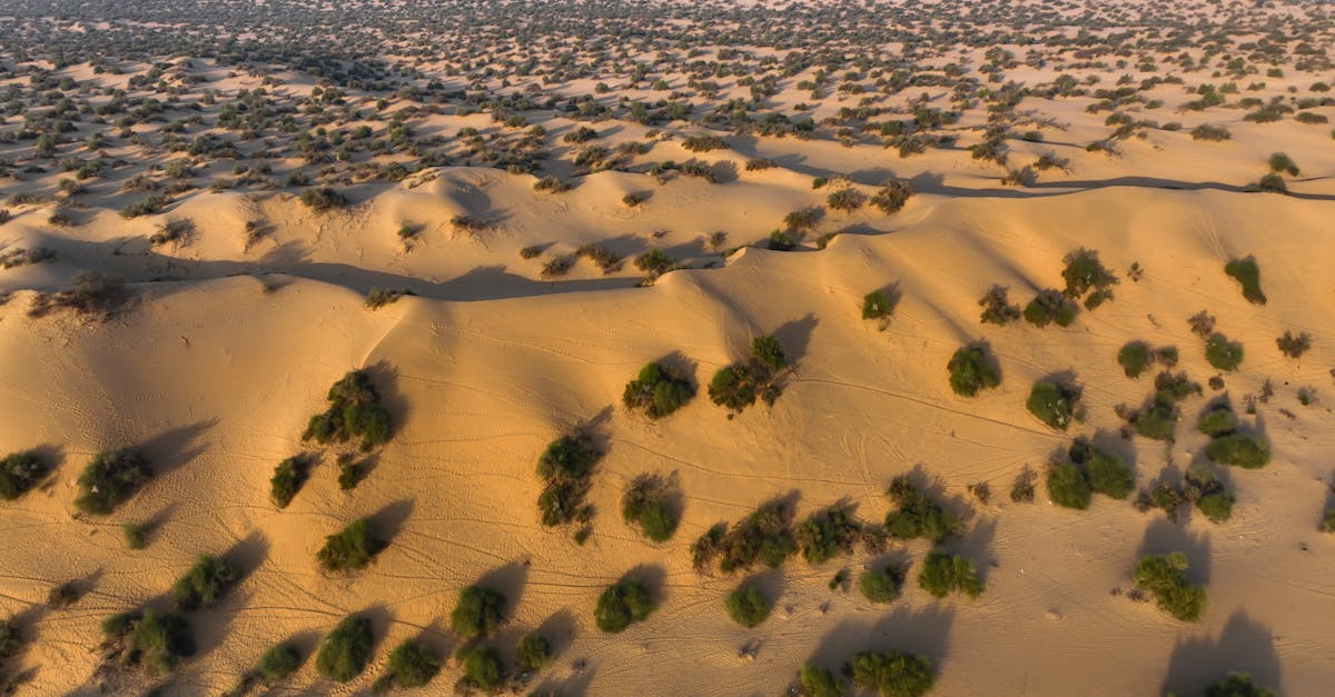 découvrez les climate heroes, des individus inspirants qui agissent pour protéger notre planète et lutter contre le changement climatique.