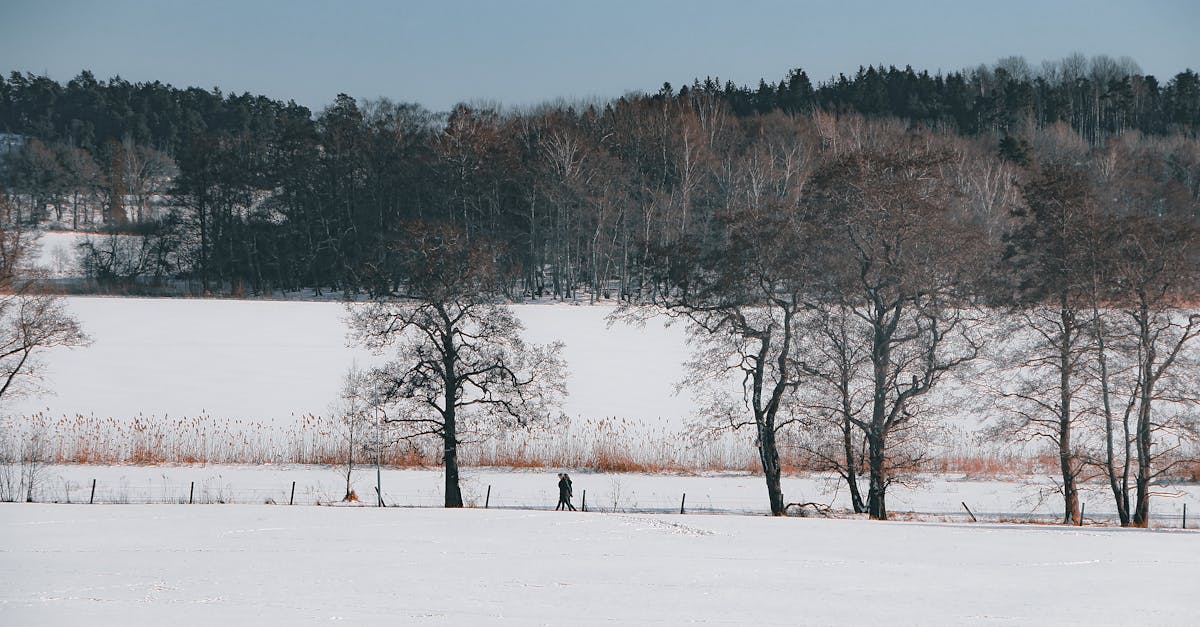 découvrez les héros du climat qui agissent pour protéger notre planète et lutter contre le changement climatique.