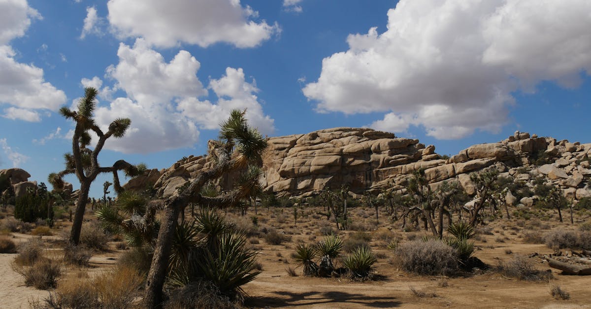 assurez votre avenir contre les aléas climatiques avec notre assurance dédiée, conçue pour protéger vos biens et investissements face aux risques environnementaux.