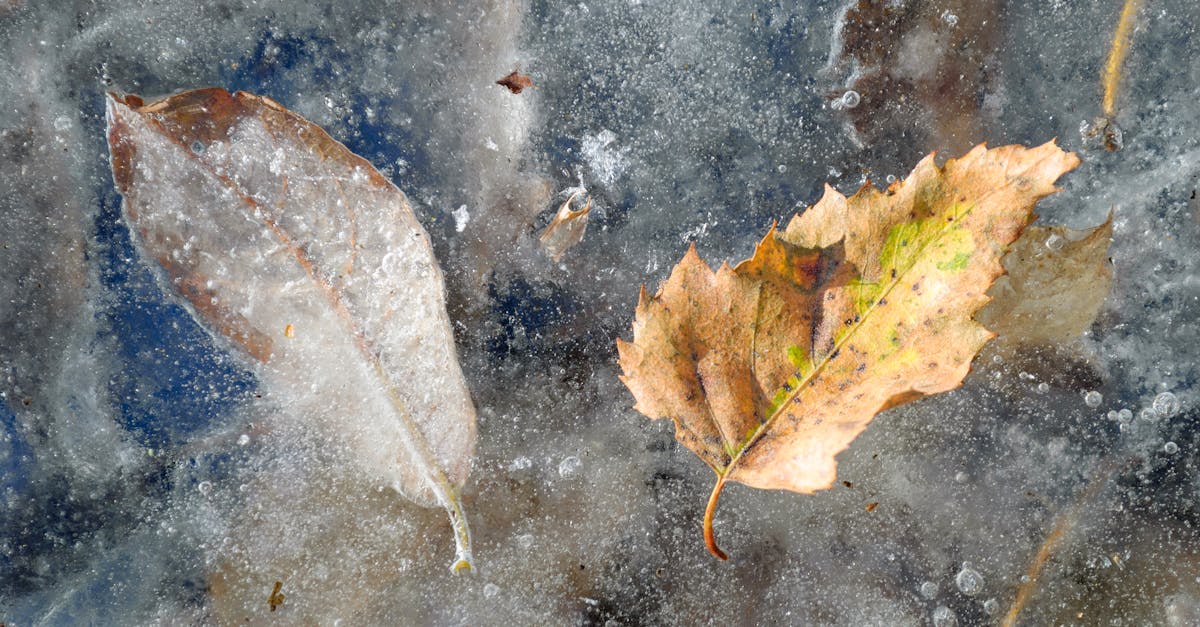 assurez votre avenir avec une assurance climatique adaptée, protégeant vos biens contre les risques liés aux changements climatiques et événements météorologiques extrêmes.