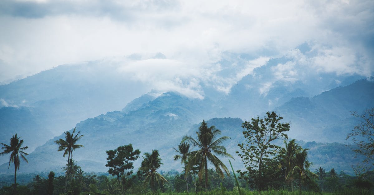 d&eacute;couvrez les enjeux et les &eacute;volutions des actions en justice li&eacute;es au changement climatique, un domaine cl&eacute; pour la protection de l'environnement et la responsabilit&eacute; des acteurs.