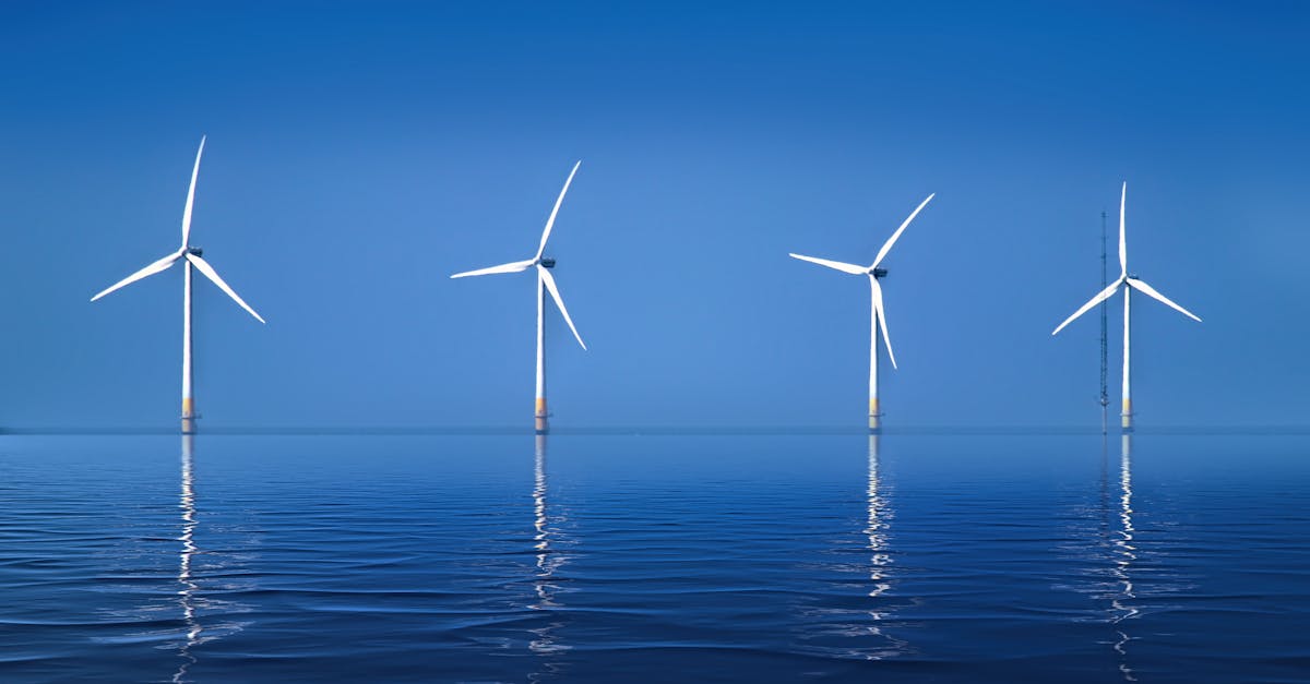 découvrez les revers environnementaux liés à la politique de donald trump, leurs impacts sur la protection de la nature et les enjeux pour l'avenir écologique.