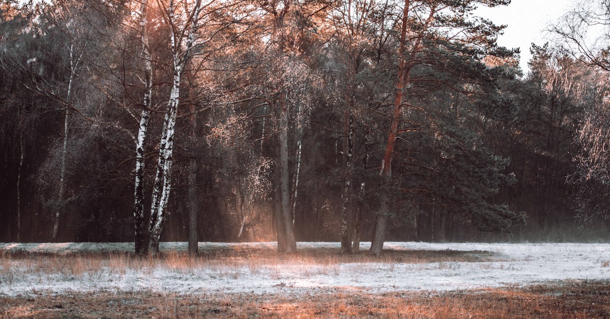 d&eacute;couvrez la loi europ&eacute;enne sur le climat, visant &agrave; r&eacute;duire les &eacute;missions de gaz &agrave; effet de serre et &agrave; promouvoir une transition vers une &eacute;conomie neutre en carbone d'ici 2050.