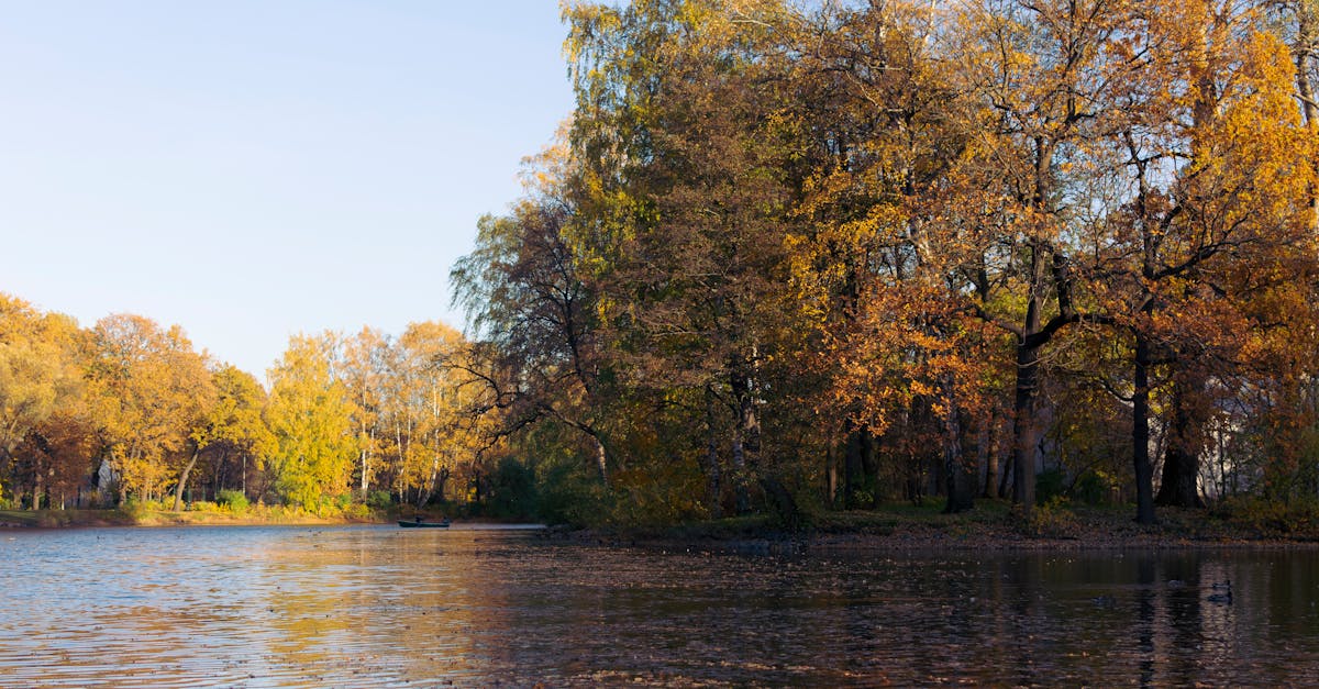d&eacute;couvrez la loi europ&eacute;enne sur le climat, un cadre juridique visant &agrave; r&eacute;duire les &eacute;missions de gaz &agrave; effet de serre et &agrave; atteindre la neutralit&eacute; carbone en europe d'ici 2050.