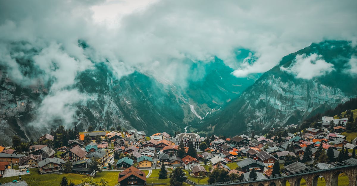 d&eacute;couvrez le european green deal, la strat&eacute;gie phare de l'union europ&eacute;enne pour une transition &eacute;cologique durable, visant &agrave; neutraliser les &eacute;missions de carbone et prot&eacute;ger l'environnement.