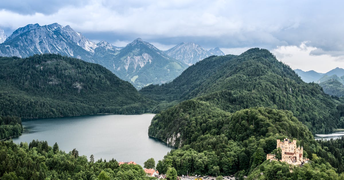 d&eacute;couvrez le european green deal, la strat&eacute;gie ambitieuse de l'union europ&eacute;enne visant &agrave; atteindre la neutralit&eacute; carbone d'ici 2050 gr&acirc;ce &agrave; des actions concr&egrave;tes pour un d&eacute;veloppement durable et respectueux de l'environnement.