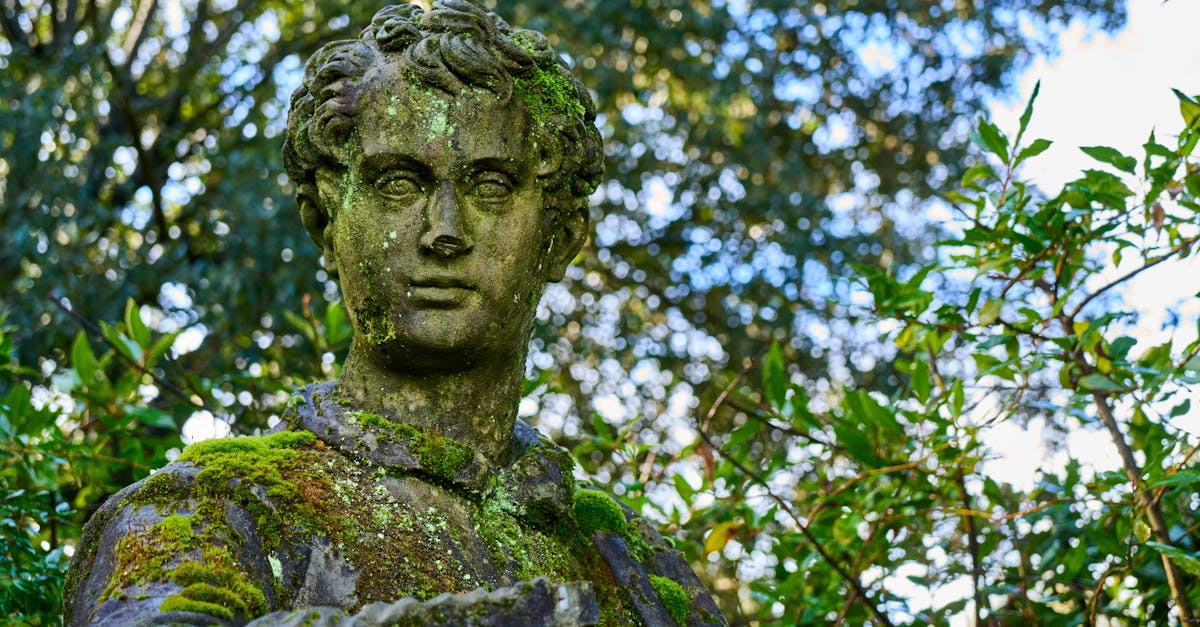 découvrez green renaissance, une initiative engagée pour un avenir durable alliant écologie, innovation et respect de la planète.