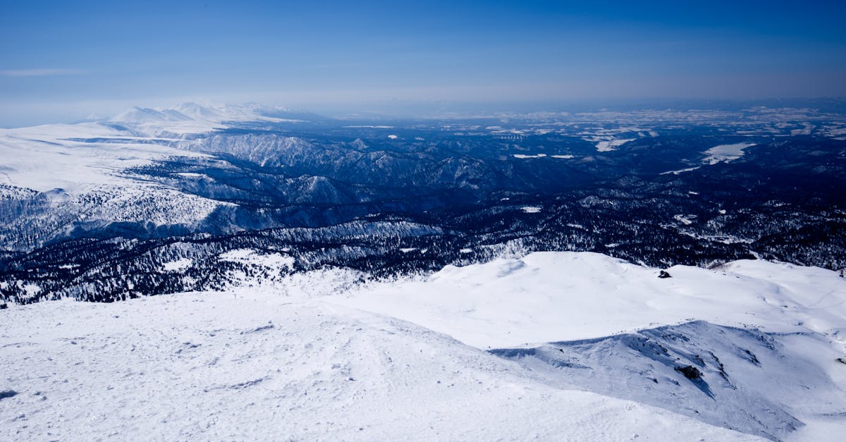 analyse des impacts du manque d'action climatique au japon et des d&eacute;fis environnementaux auxquels le pays est confront&eacute;.