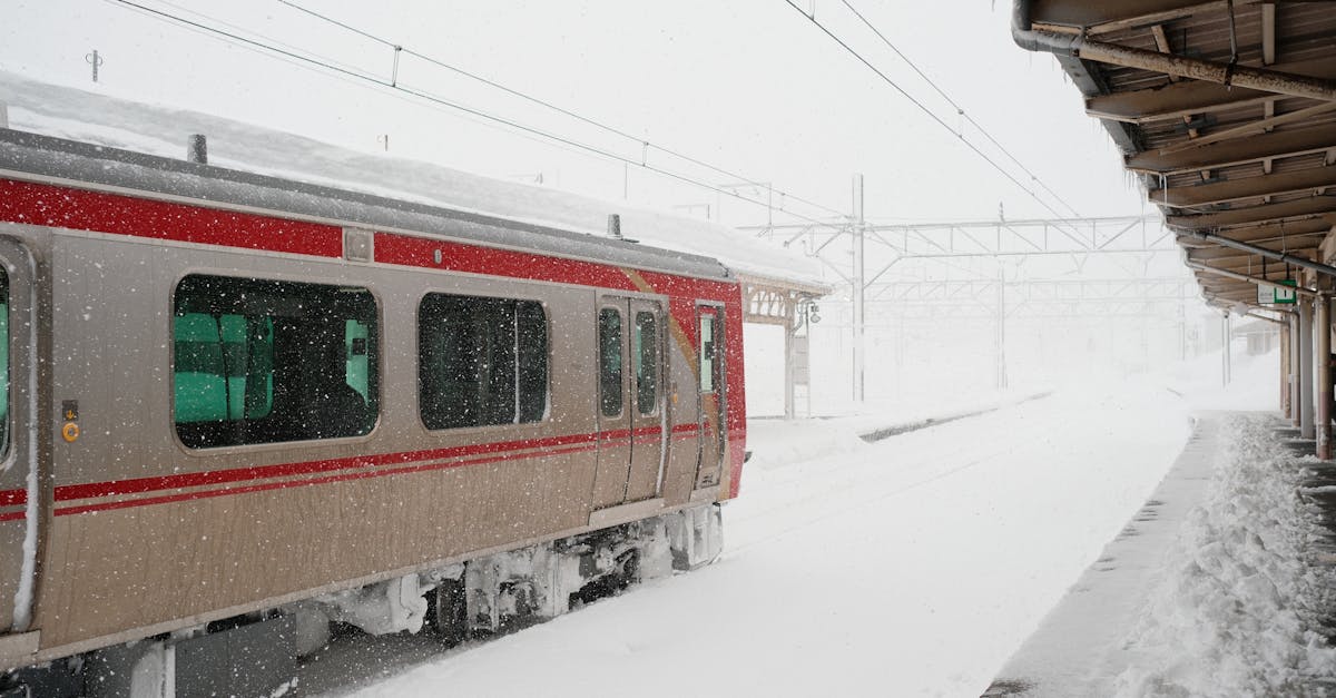 analyse de l'inaction du japon face au changement climatique : enjeux, impacts et perspectives pour un avenir durable.