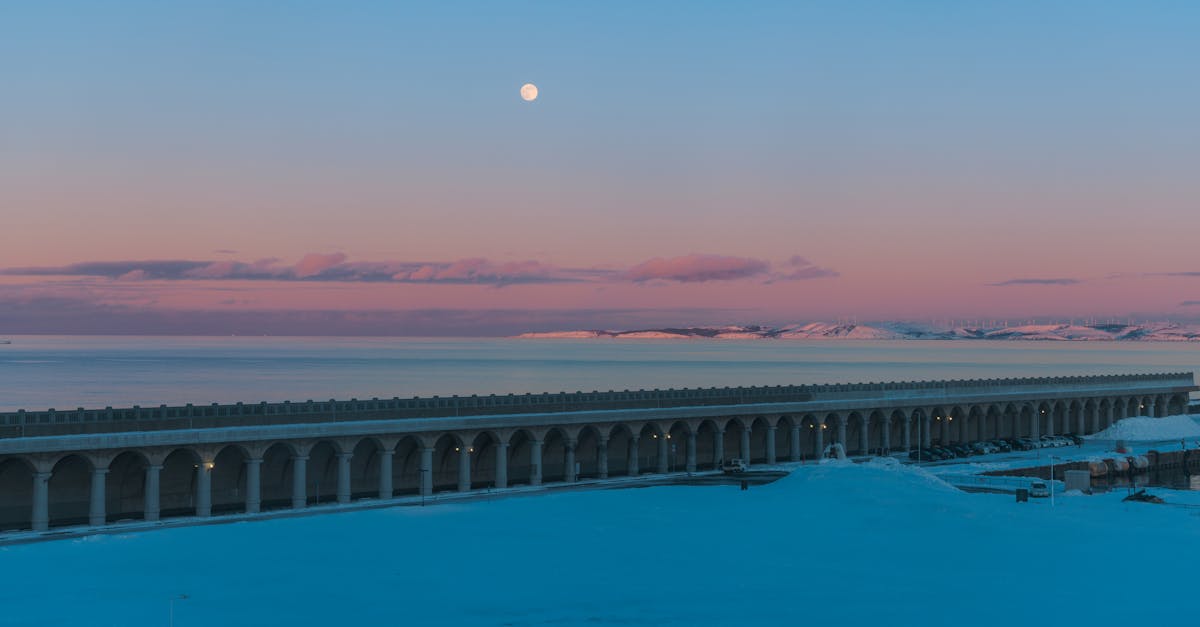 analyse de l'inaction du gouvernement japonais face au changement climatique et ses cons&eacute;quences environnementales.