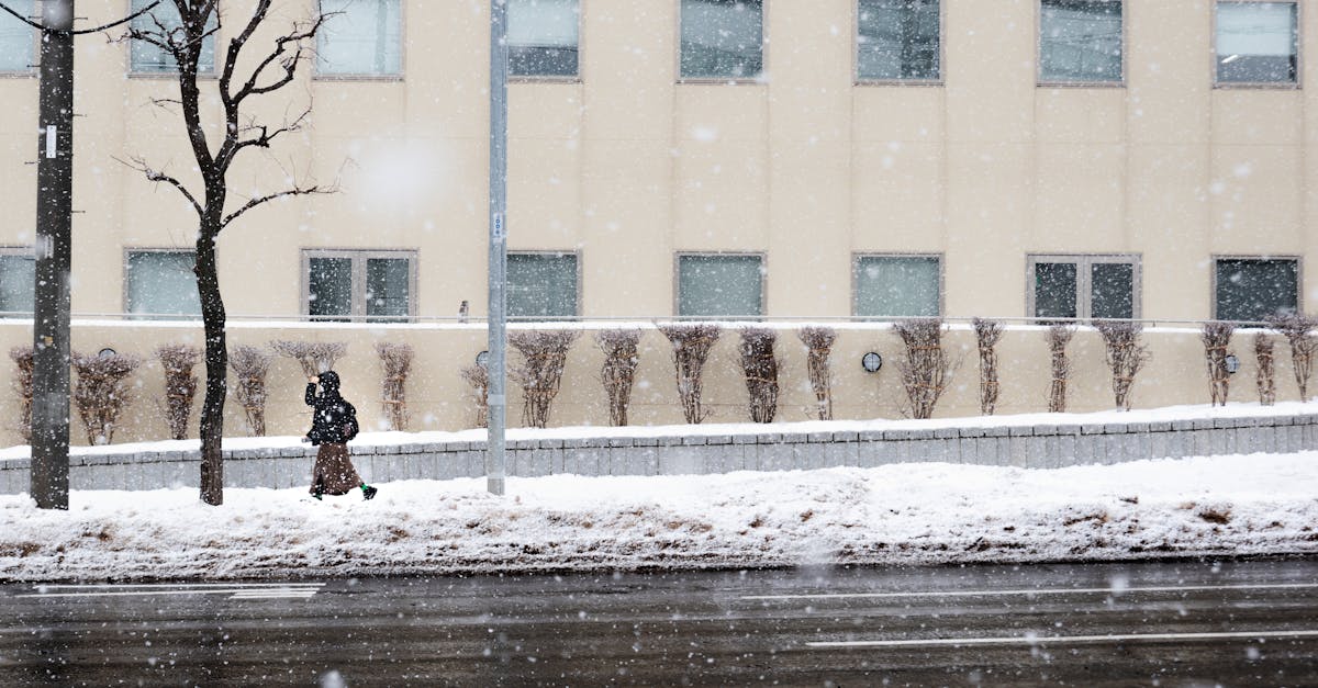 analyse de l'inaction du gouvernement japonais face au changement climatique et ses cons&eacute;quences environnementales.