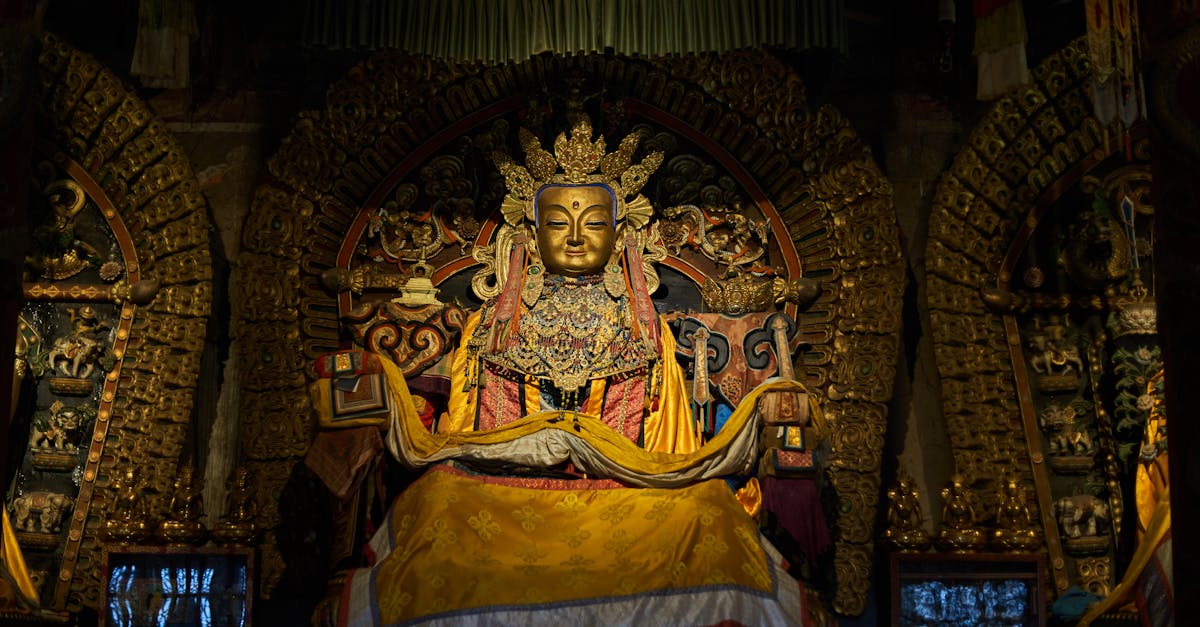 découvrez la feuille de route nationale pour une transition vers un mode de vie à faible émission de carbone, visant à réduire l'impact environnemental et à promouvoir un développement durable.