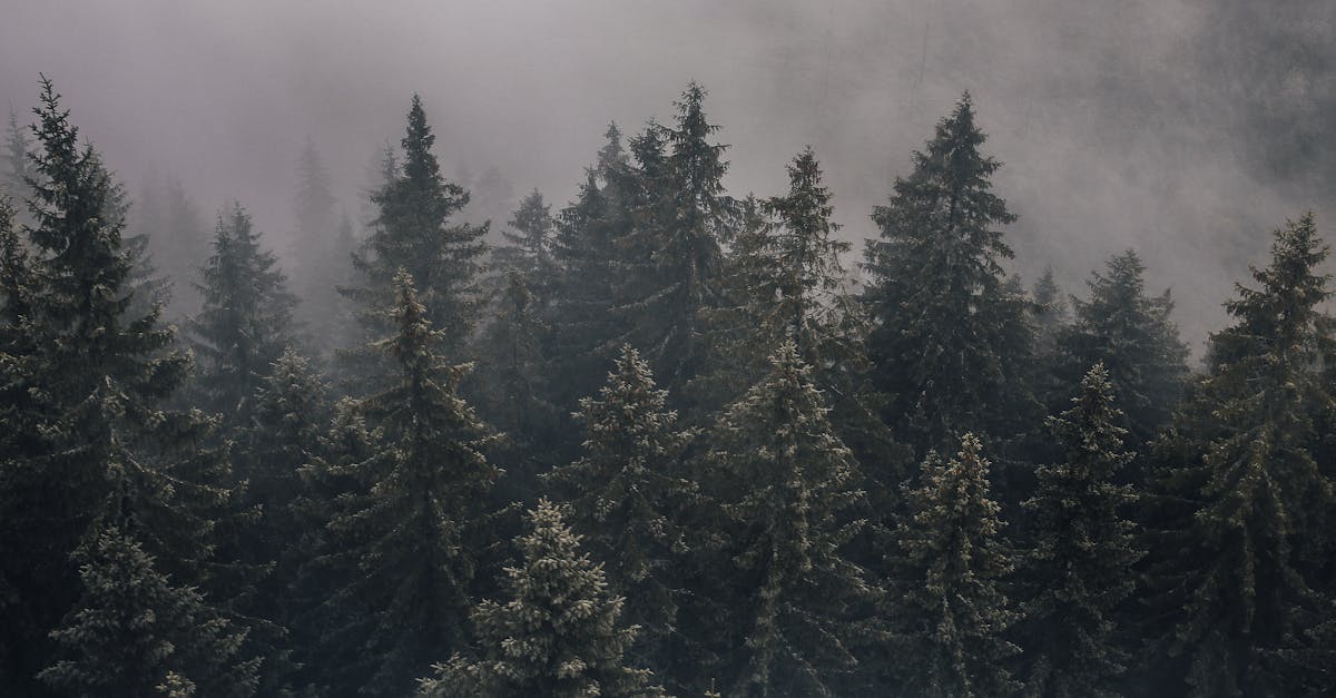 d&eacute;couvrez l'histoire fascinante et les secrets du passage du nord-ouest, la route maritime l&eacute;gendaire reliant l'atlantique au pacifique &agrave; travers l'arctique.