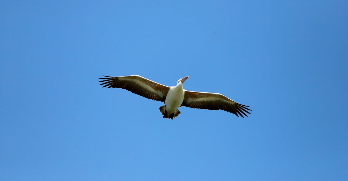 célébrez la journée mondiale du climat 2025 en découvrant les actions globales pour préserver notre planète et lutter contre le changement climatique.