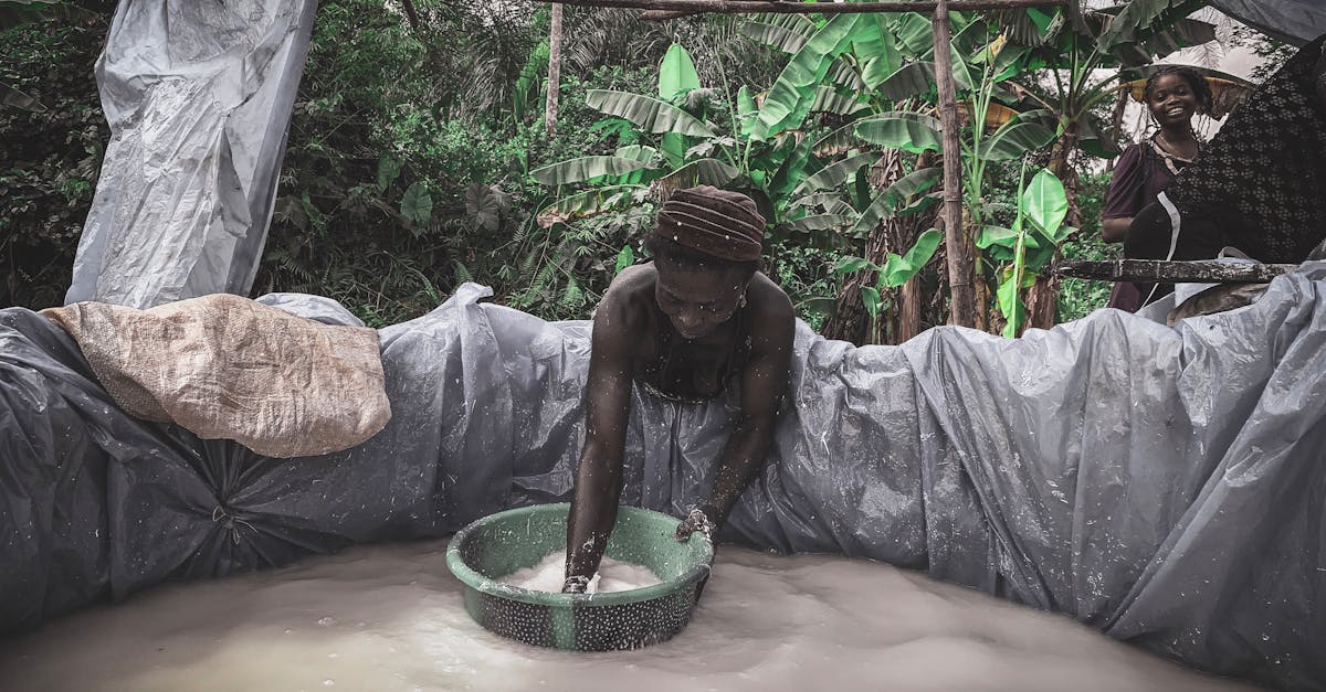 d&eacute;couvrez les strat&eacute;gies innovantes d'adaptation au changement climatique en afrique pour un avenir durable et r&eacute;silient.