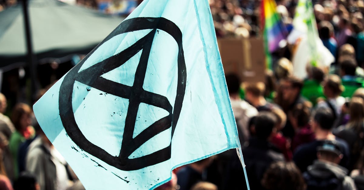 découvrez comment la biodiversité influence le climat et l'importance de préserver les écosystèmes pour lutter contre le changement climatique.