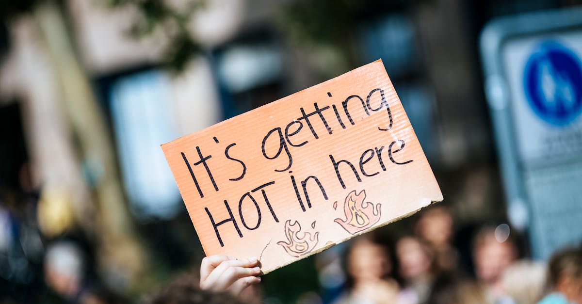 d&eacute;couvrez les initiatives et strat&eacute;gies cl&eacute;s pour lutter contre le changement climatique et promouvoir une action climatique durable.