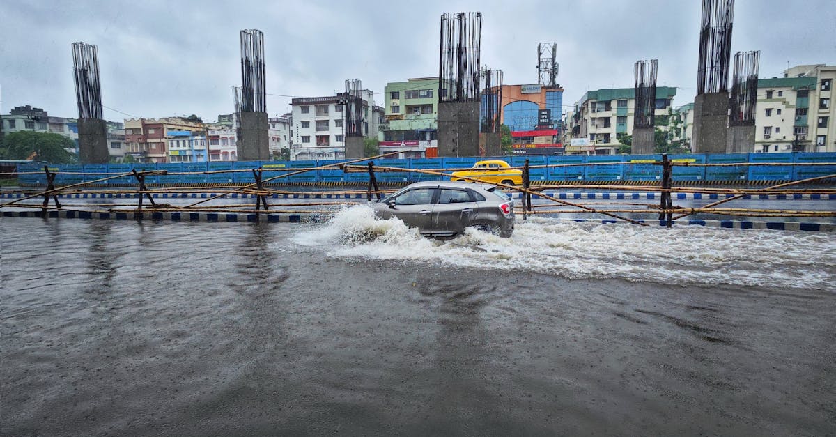 d&eacute;couvrez les strat&eacute;gies et solutions pour l'adaptation au changement climatique afin de prot&eacute;ger les &eacute;cosyst&egrave;mes, les communaut&eacute;s et les &eacute;conomies face aux impacts environnementaux.