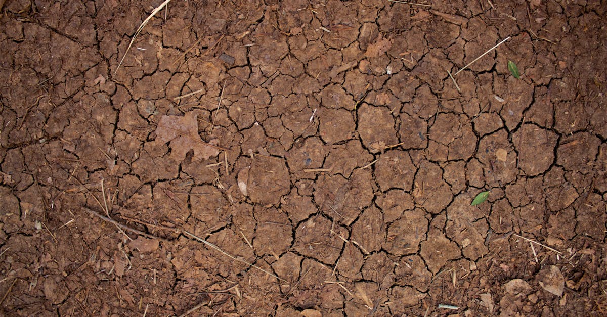 découvrez les impacts du changement climatique sur la santé humaine, incluant les risques accrus de maladies, les effets sur le bien-être mental et les mesures pour s'adapter.