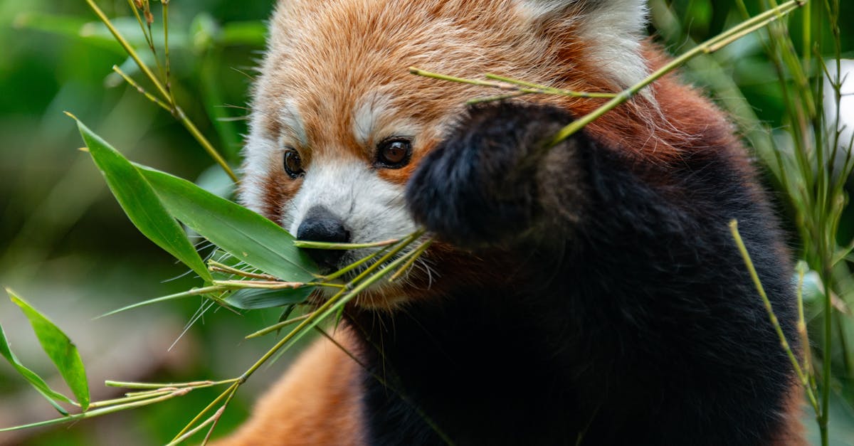 d&eacute;couvrez les impacts du changement climatique sur notre plan&egrave;te, ses &eacute;cosyst&egrave;mes et notre quotidien, ainsi que les actions pour y faire face.