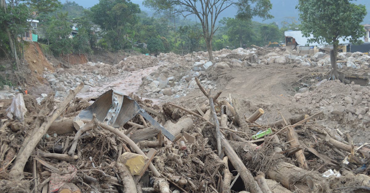 analyse de l'impact du changement climatique sur la dynamique des avalanches et ses cons&eacute;quences sur les environnements montagneux.