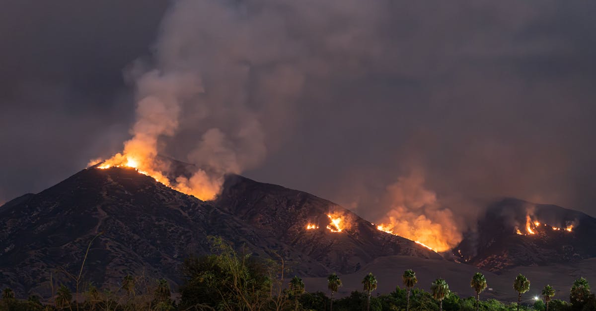 d&eacute;couvrez les catastrophes climatiques : causes, impacts et solutions pour mieux comprendre et agir face aux d&eacute;fis environnementaux.