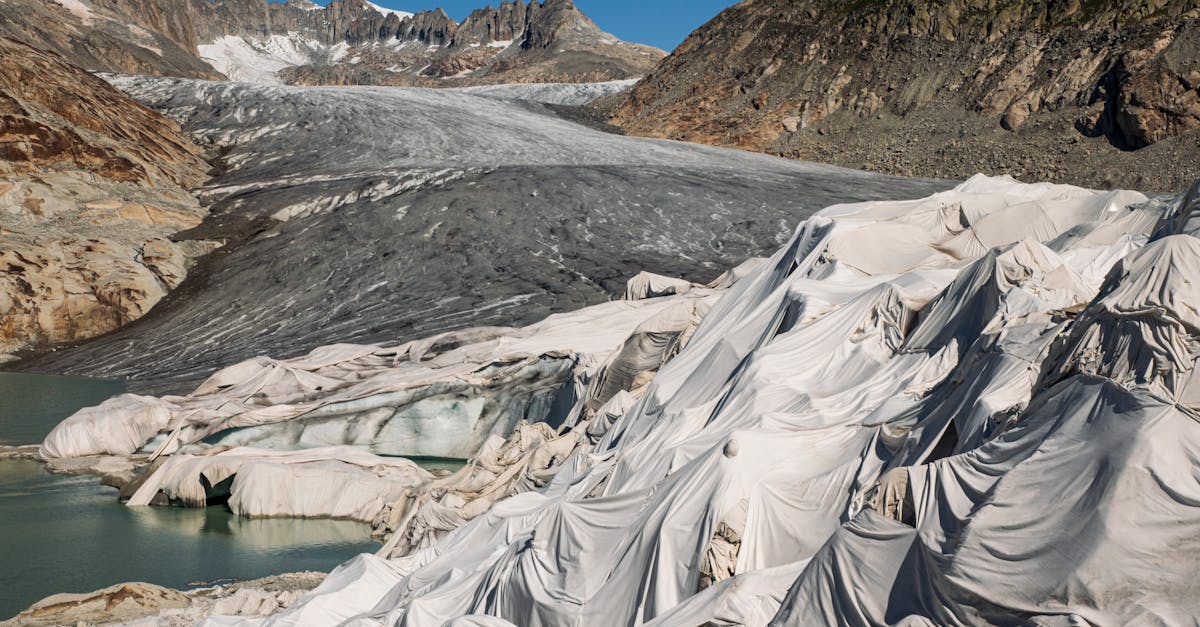 découvrez les actions et solutions innovantes pour la protection du climat, lutter contre le changement climatique et préserver notre planète pour les générations futures.